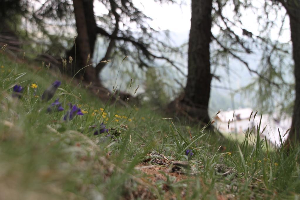 Restor Natura Malga Mondent Pracorno di Rabbi Exterior foto